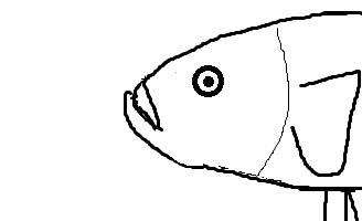 Imagen de un betta con esclerótica visible