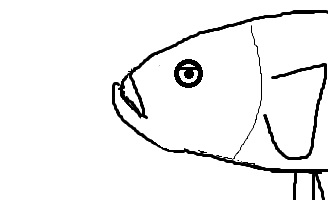 Imagen de un betta con líneas horizontales en los ojos